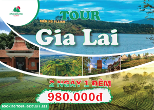 tour du lịch gia lai