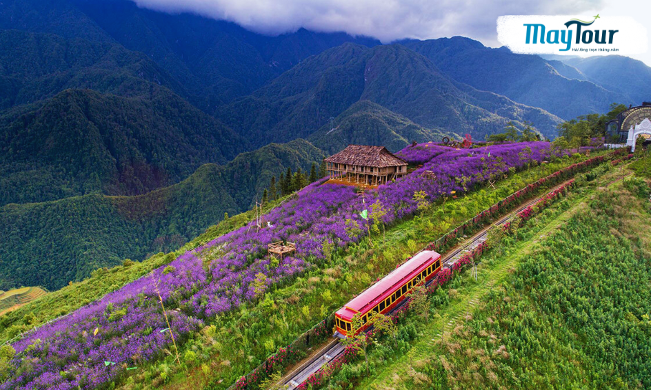 tour du lịch hà nội khởi hành từ tp hcm - Hình 3