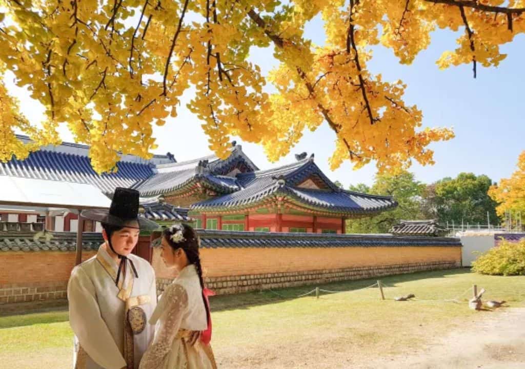 tour du lịch hàn quốc tháng 10 - Hình 3