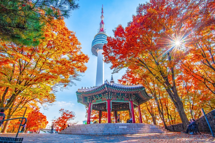 tour du lịch hàn quốc tháng 10 - Hình 4