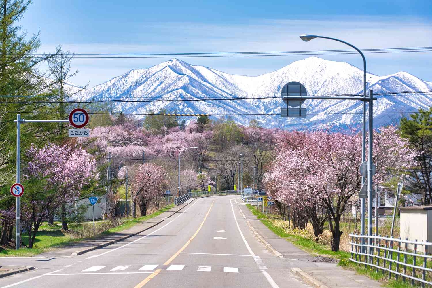 tour du lịch hokkaido nhật bản - Hình 4