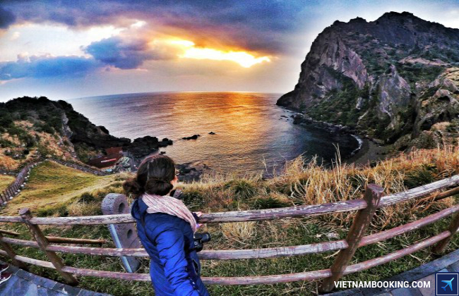 tour du lịch jeju - Hình 1