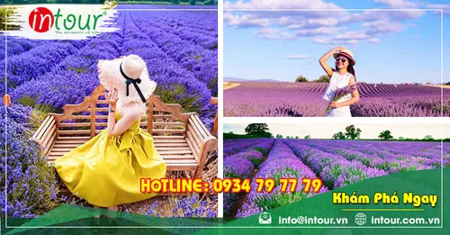 tour du lịch khởi hành từ an giang - Hình 2