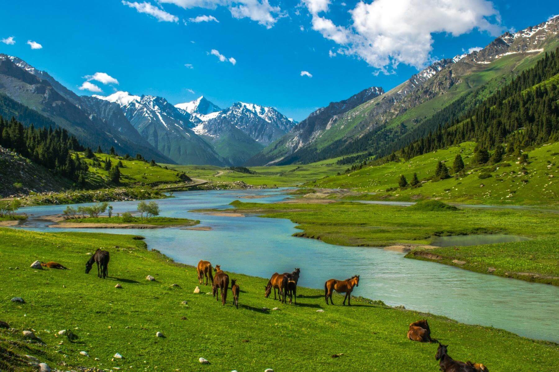 tour du lịch kyrgyzstan - Hình 4