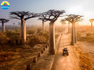tour du lịch madagascar