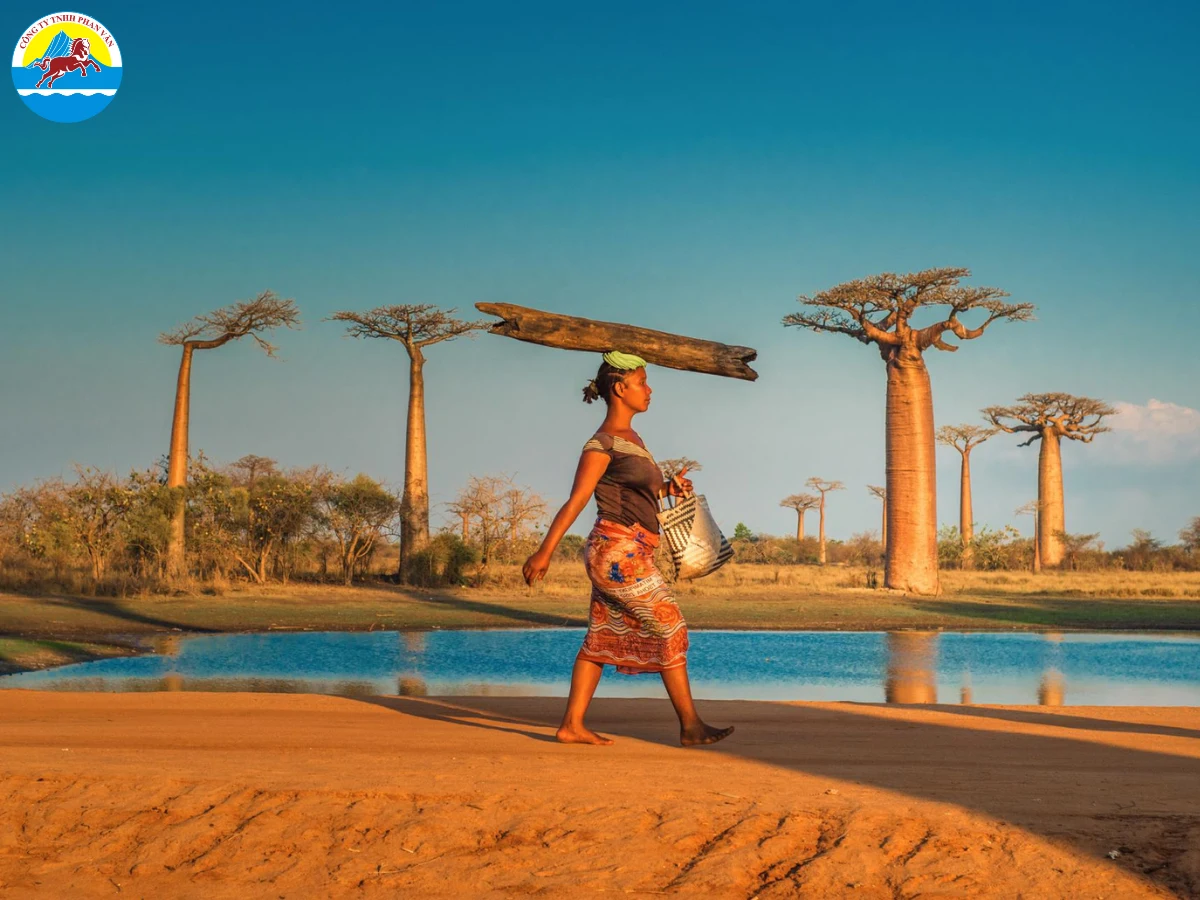 tour du lịch madagascar - Hình 4
