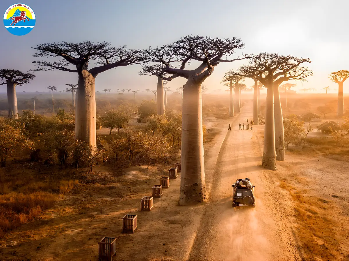 tour du lịch madagascar - Hình 1