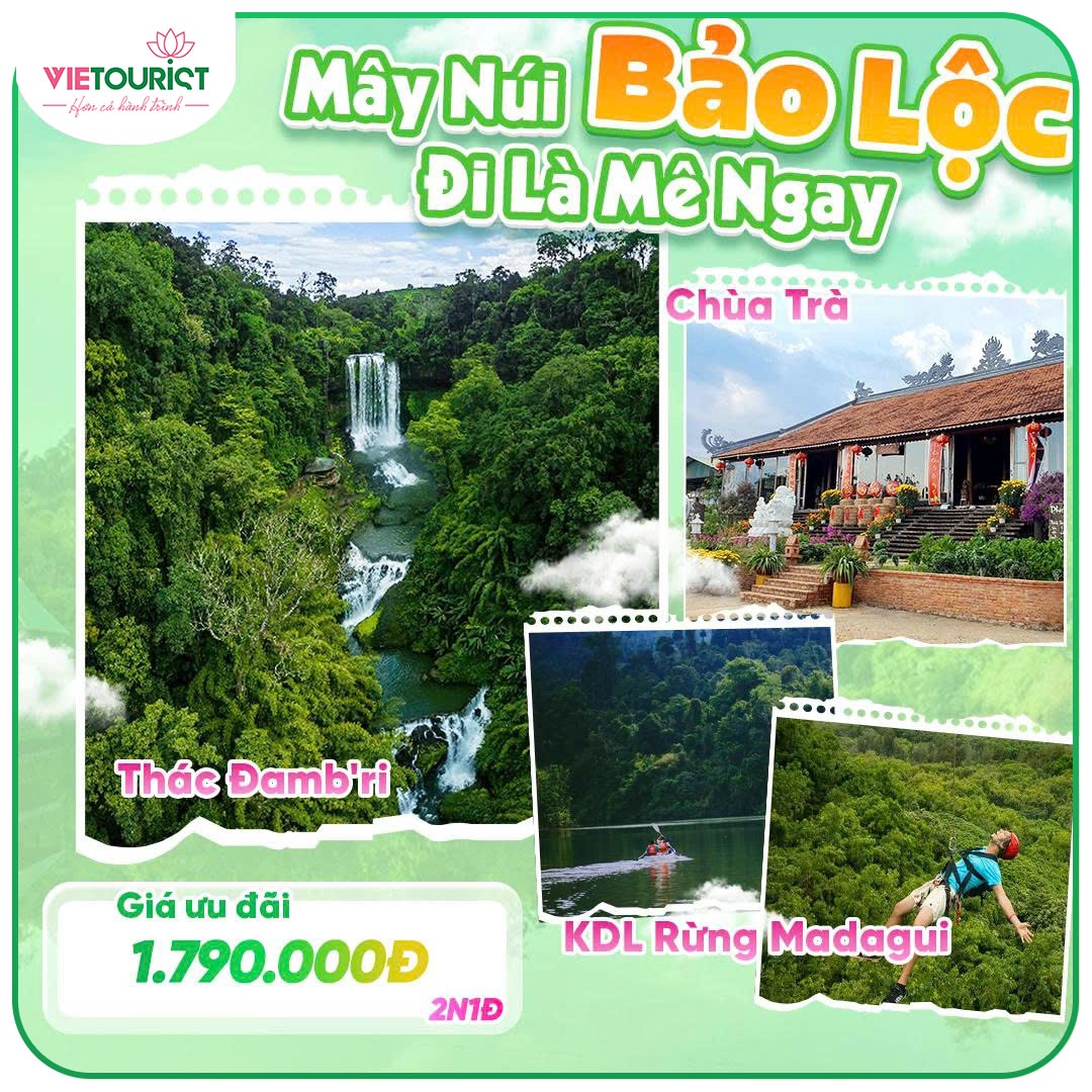 tour du lịch madagui 2 ngày 1 đêm - Hình 3