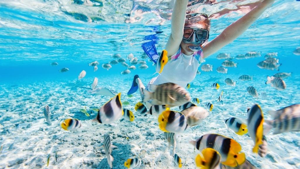 tour du lịch maldives từ hà nội - Hình 4