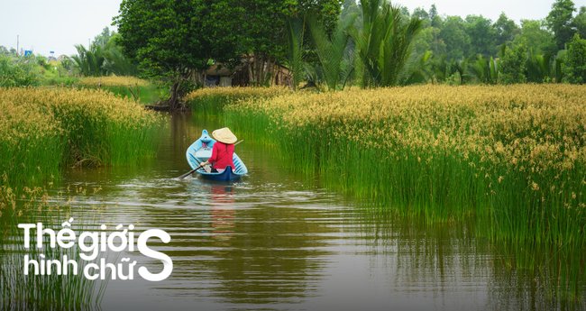 tour du lịch miền tây từ sài gòn - Hình 5