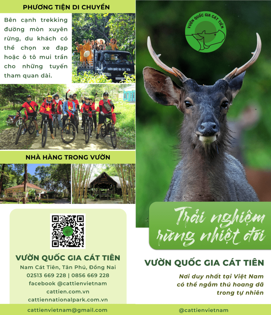 tour du lịch nam cát tiên - Hình 3