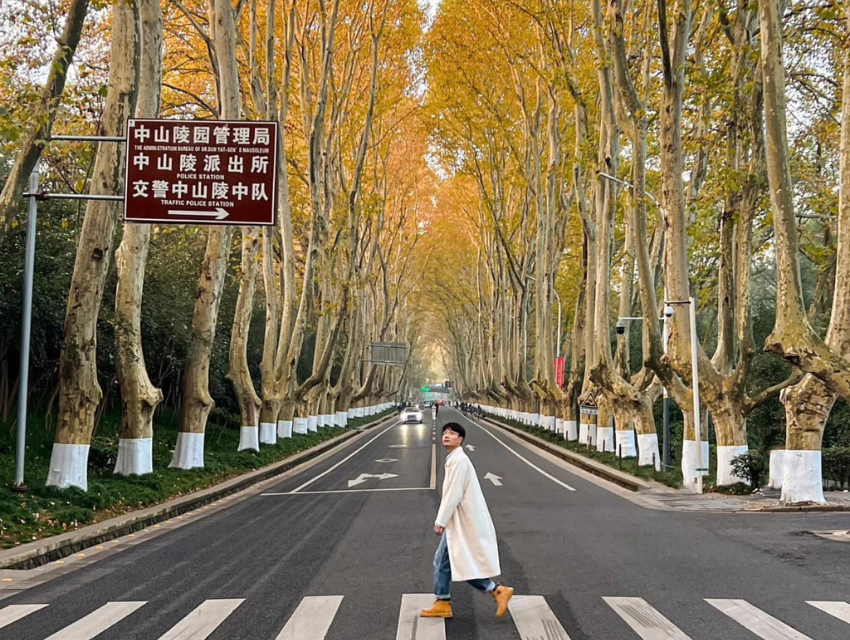 tour du lịch nam kinh - Hình 2