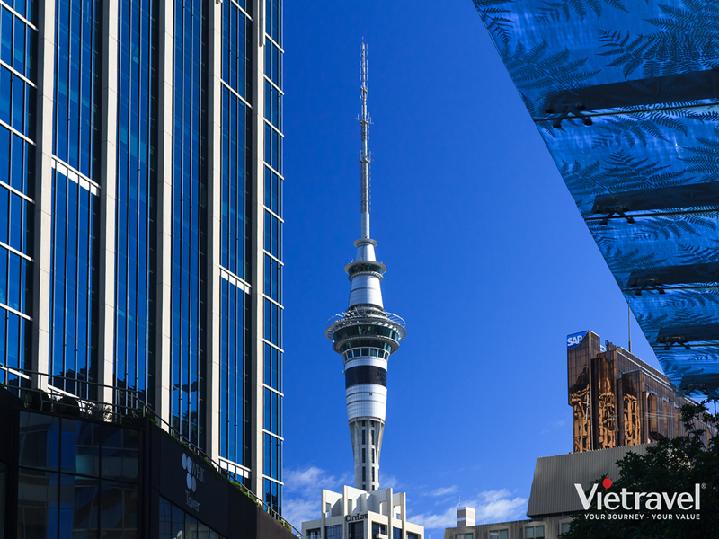tour du lịch new zealand vietravel - Hình 3