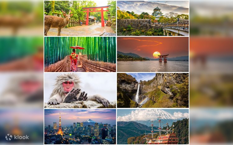 tour du lịch nhật bản 10 ngày - Hình 2