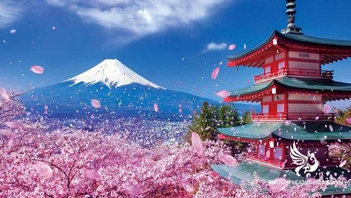tour du lịch nhật bản ngắm hoa anh đào - Hình 2