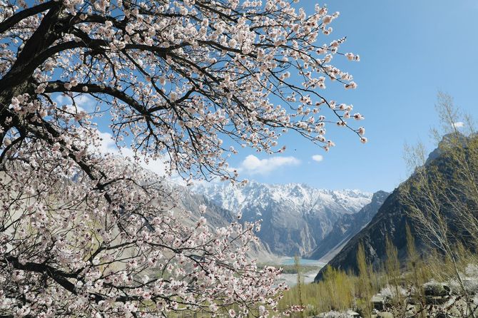 tour du lịch pakistan - Hình 4