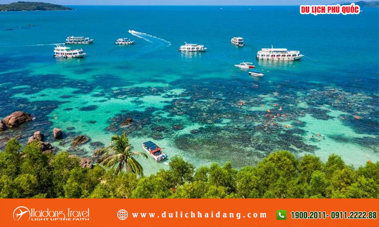 tour du lịch phú quốc từ hcm - Hình 4