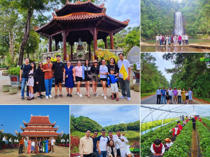 tour du lịch quảng nam 2 ngày 1 đêm - Hình 2