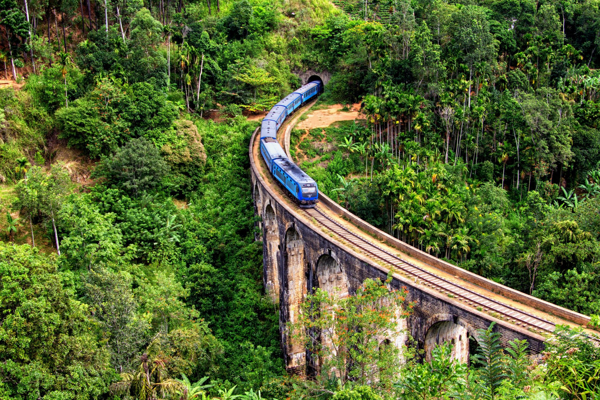tour du lịch sri lanka - Hình 5