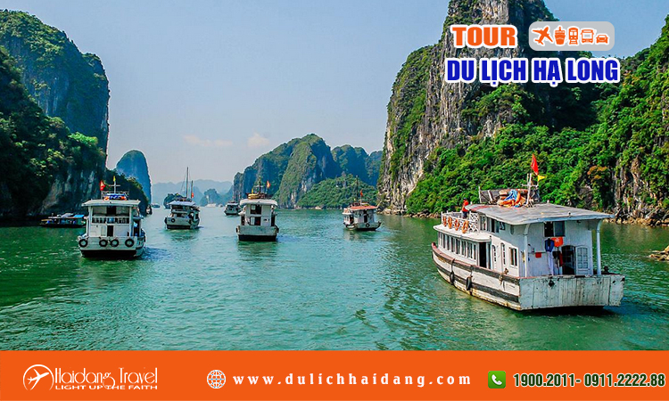 tour du lịch tai bất kỳ - Hình 4