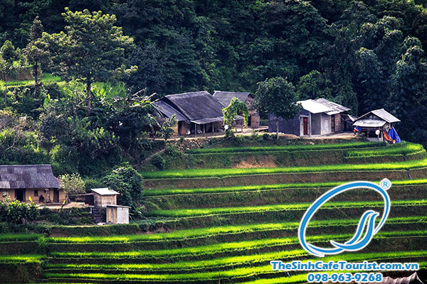 tour du lịch tây bắc 3 ngày 2 đêm - Hình 4