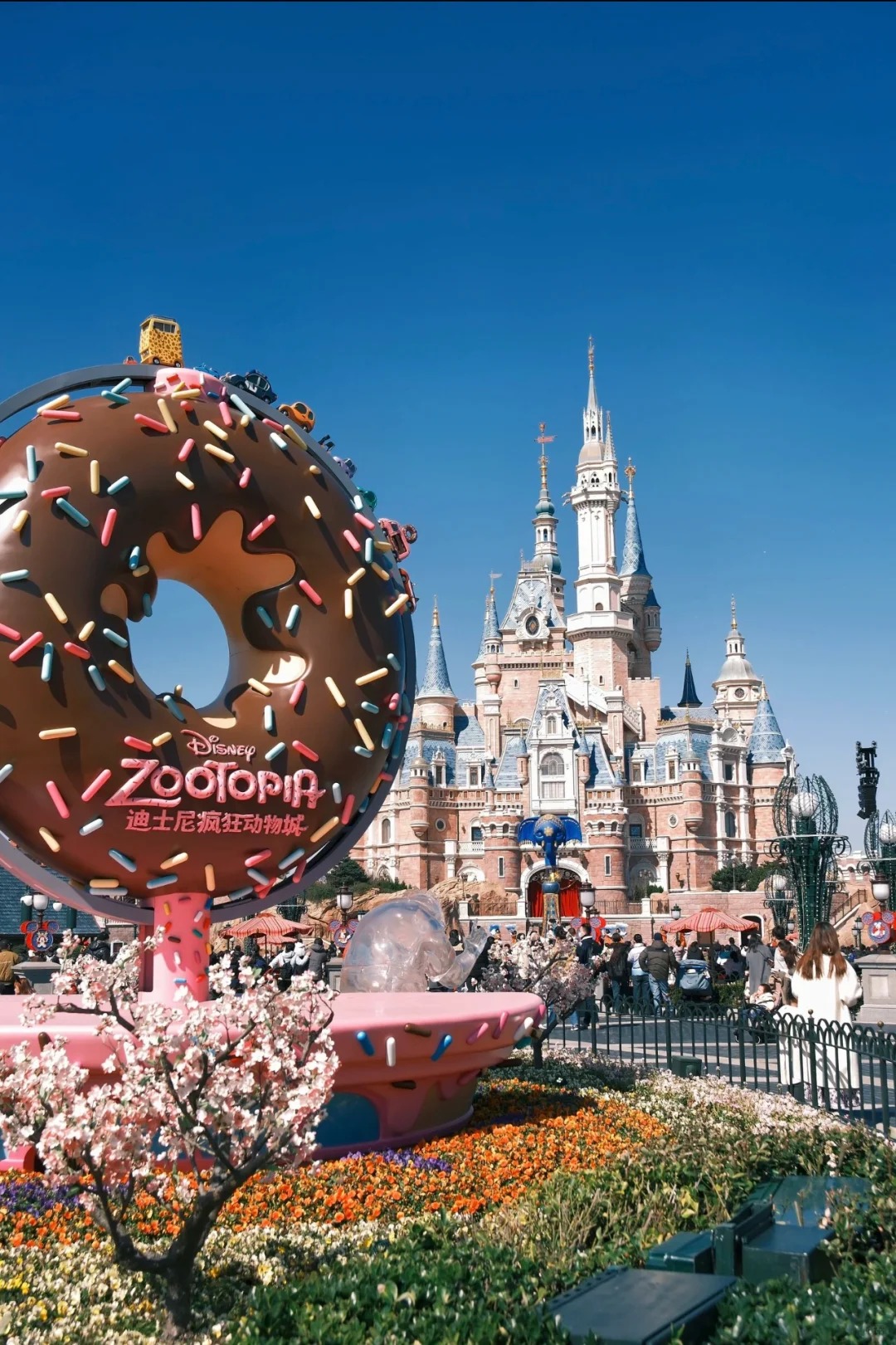 tour du lịch thượng hải - disneyland - Hình 2