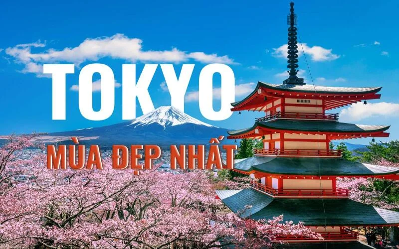 tour du lịch tokyo - Hình 4