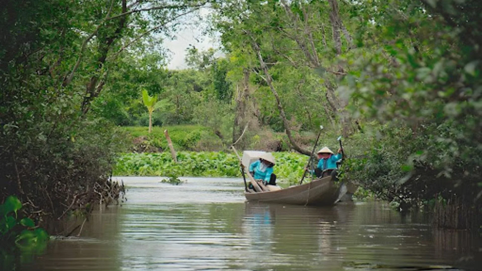 tour du lịch vườn cò bằng lăng - Hình 5