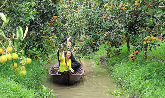 tour du lịch vườn trái cây lái thiêu - Hình 2