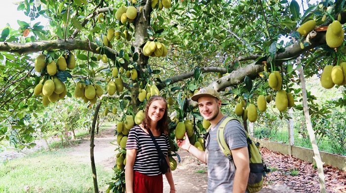 tour du lịch vườn trái cây miền tây - Hình 4