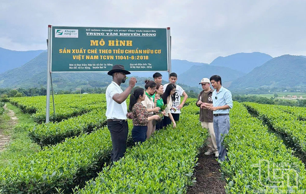 trung tâm du lịch nước ta gắn với - Hình 4