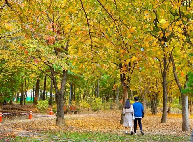 u lịch hàn quốc tháng 9 - Hình 2