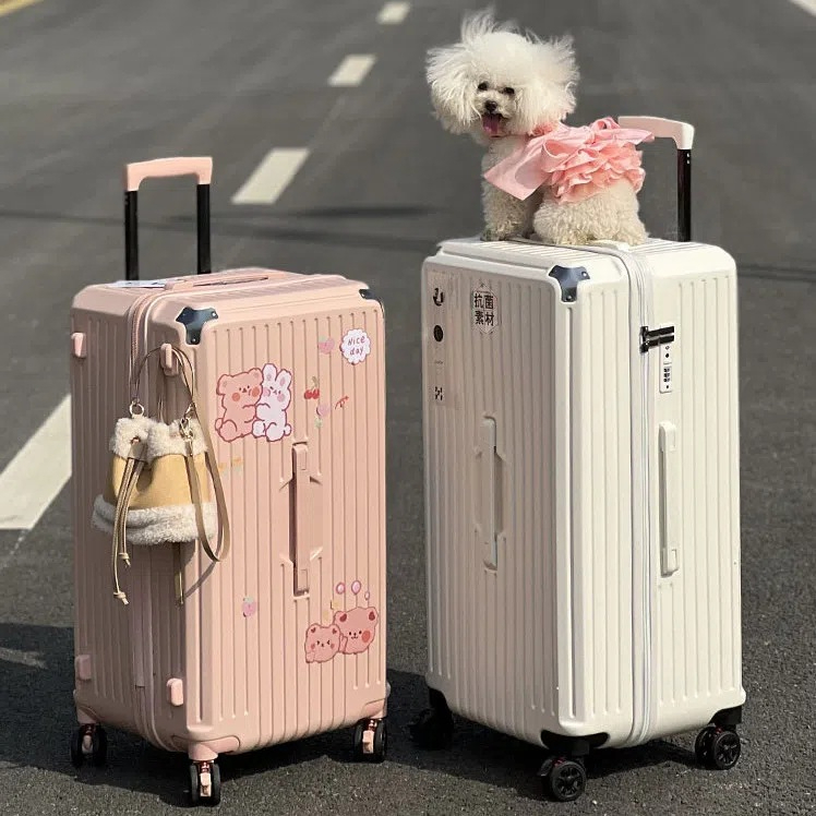 vali du lịch cute - Hình 1