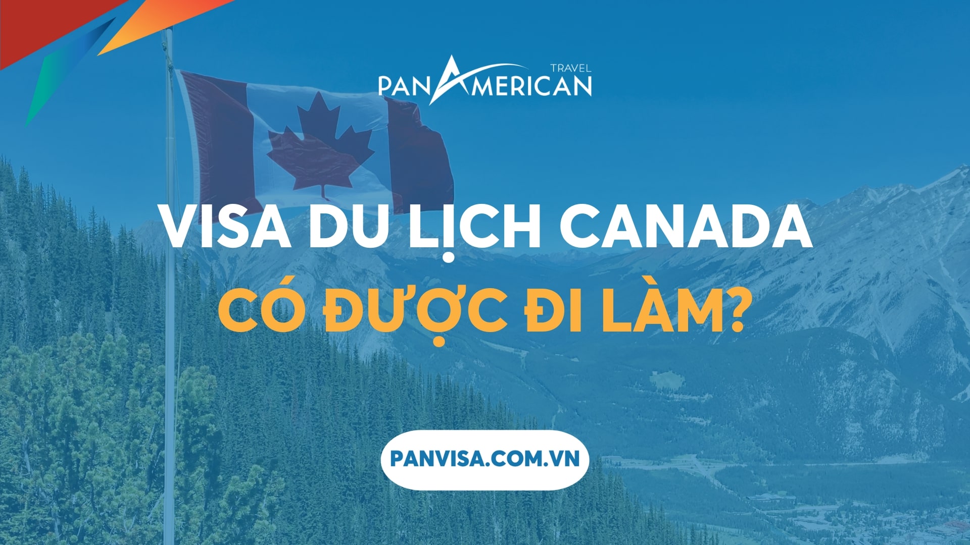 visa du lịch canada có được đi làm không - Hình 2