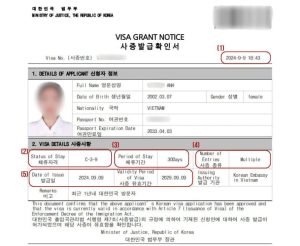 visa du lịch hàn quốc tự túc