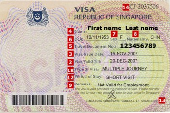 visa du lịch singapore - Hình 1