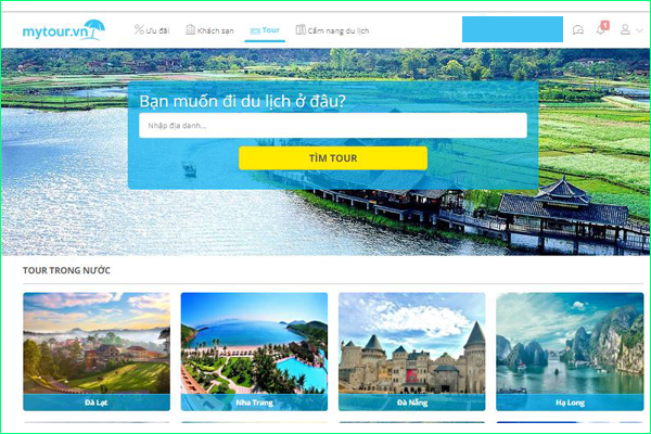 web tour du lịch - Hình 4