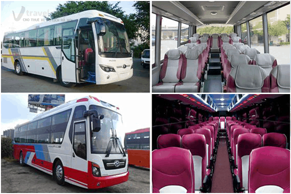 xe du lịch 50 chỗ - Hình 3