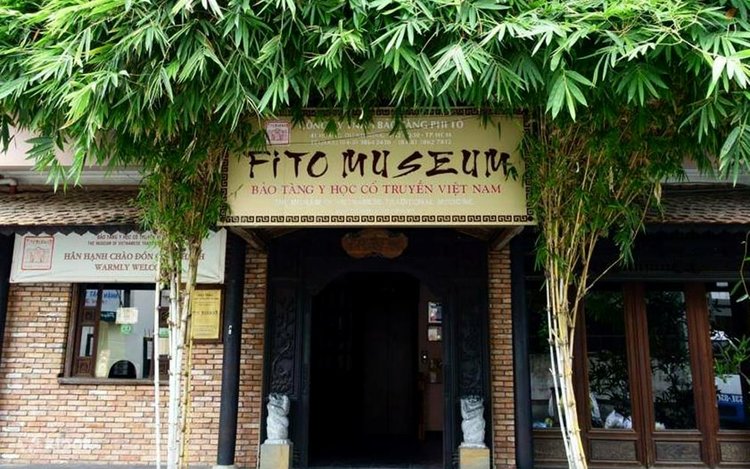 Bảo tàng FITO - Hình 1