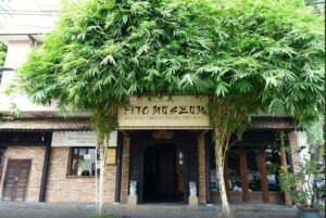 Bảo tàng Y học Cổ truyền Việt Nam