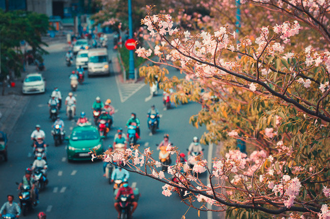 Các phố đẹp nhất Sài Gòn - Hình 3