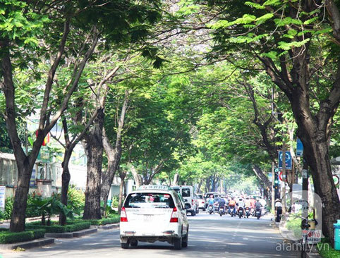 Các phố đẹp nhất Sài Gòn - Hình 4