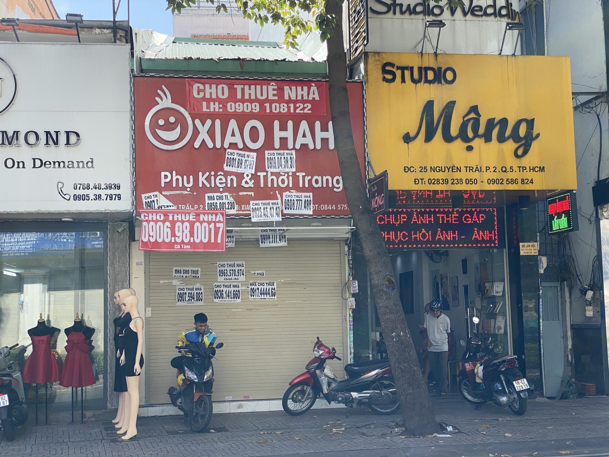 Các phố sầm uất nhất TP.HCM - Hình 4