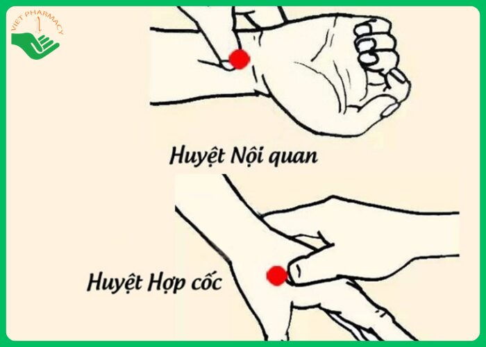 Cách chống say tàu - Hình 2