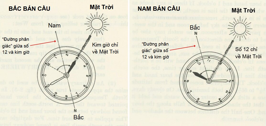 Cách xác định phương hướng khi không có GPS - Hình 2