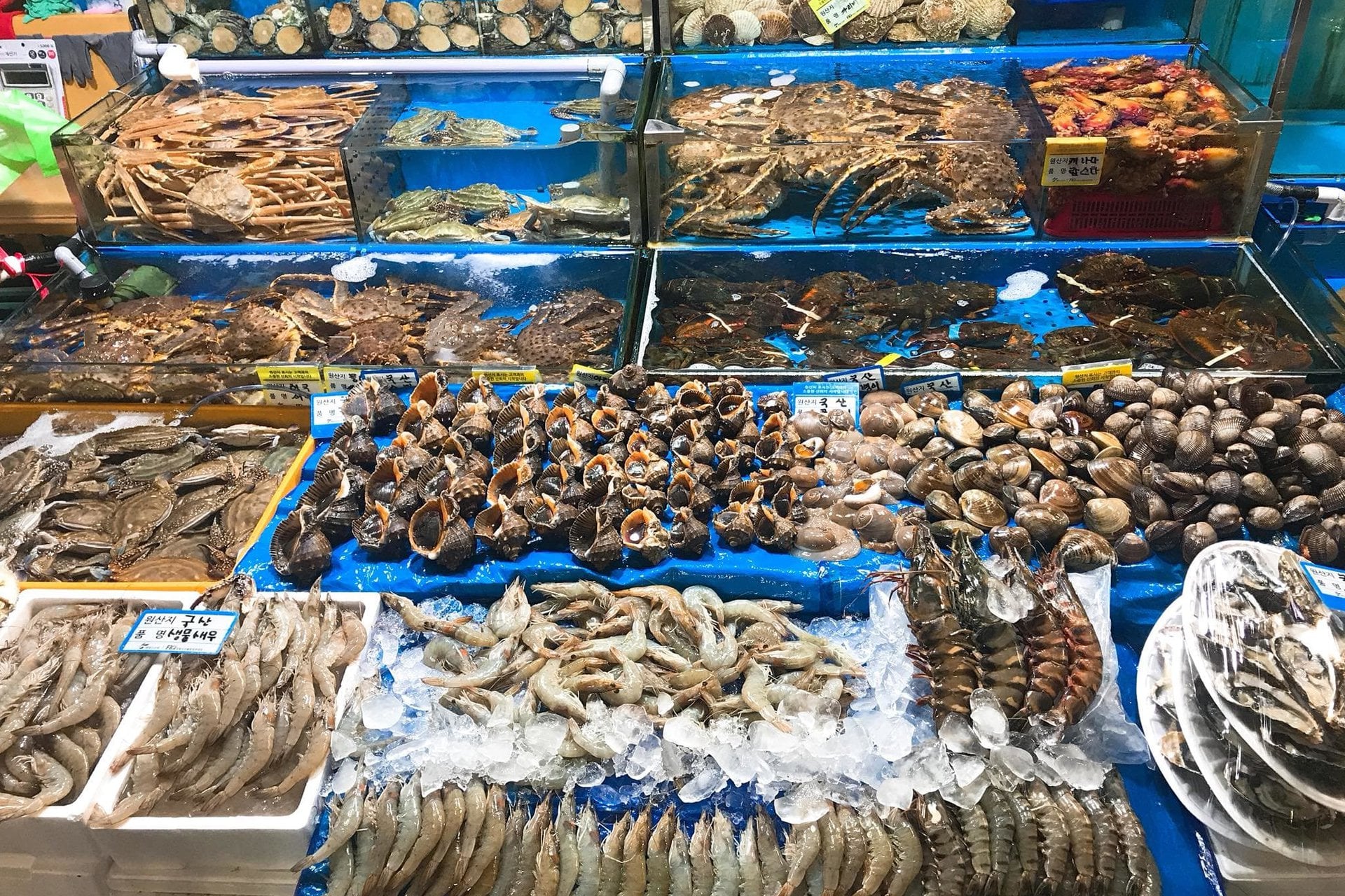 Chợ chuyên bán hải sản ở TP.HCM - Hình 3