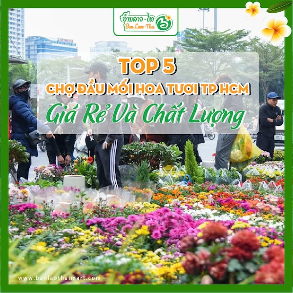 Chợ chuyên bán hoa ở TP.HCM - Hình 4