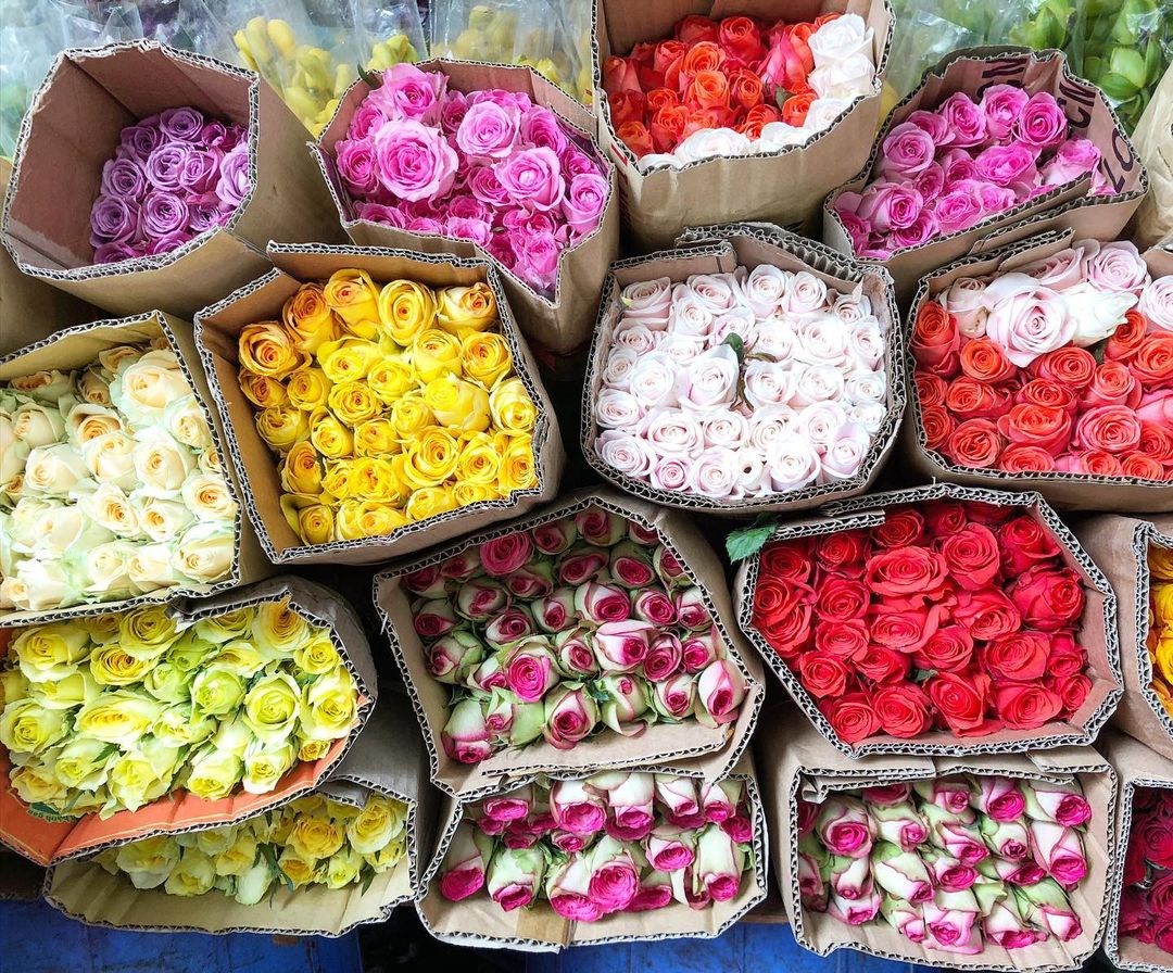 Chợ hoa Hồ Thị Kỷ - Hình 4