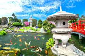 Công viên Cá Koi Rin Rin Park
