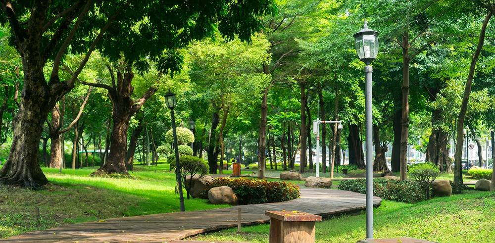 Công viên Hoàng Văn Thụ - Hình 4